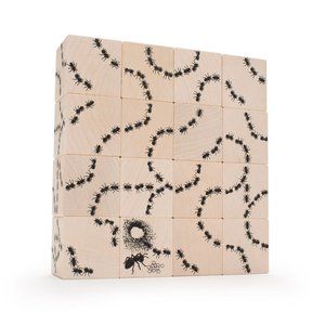 Uncle Goose Antics Ant Blocks Toy